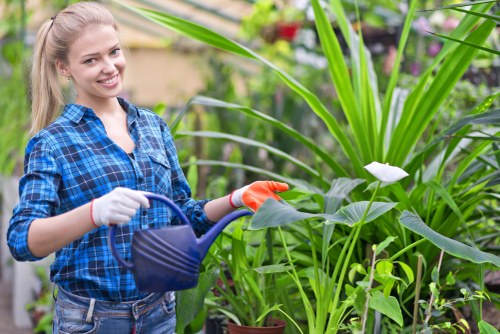 A young woman with light hair tied back wearing a blue plaid shirt and white gardening gloves is standing in a lush garden, holding a blue watering can and watering large green plants with broad leaves. The garden features a variety of other plants and flowers in the background, with some in pots and others growing directly in the soil. The scene is well-lit with natural daylight, suggesting a bright, clear day. The environment appears to be an outdoor space designed for gardening and outdoor maintenance, reflecting a professional approach to garden care and landscaping services as offered by Landscapers Bethnal Green. The garden layout includes a mix of foliage and flowering plants, with the focus on healthy, vibrant greenery. This setting is indicative of a well-maintained outdoor area typical of residential gardens in Bethnal Green, suitable for services like planting, lawn care, and landscape enhancement.