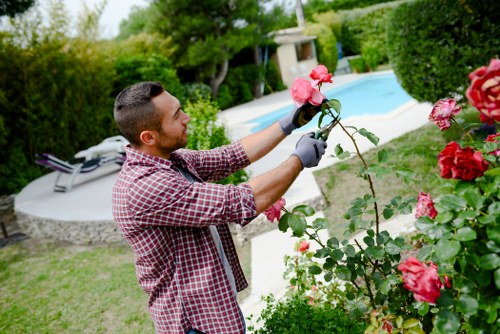 A man with short dark hair and a beard, dressed in a red and white checkered shirt and grey gardening gloves, is pruning a rose bush in a well-maintained garden. The garden features a lush green lawn with dense shrubbery and a variety of flowering plants, including vibrant pink and red roses in the foreground. In the background, there is a modern swimming pool with clear blue water, bordered by a paved patio area with outdoor furniture. Tall trees and neatly trimmed hedges surround the space, creating a private outdoor setting typical of a residential garden in Bethnal Green. The scene appears to be taken on a bright day with natural sunlight illuminating the garden, highlighting the natural tones of the foliage and flowers. Landscaping services by Landscapers Bethnal Green might include plant pruning, lawn maintenance, and general garden upkeep, contributing to the tidy and inviting outdoor environment of this garden in London postcode area in the Bethnal Green district.