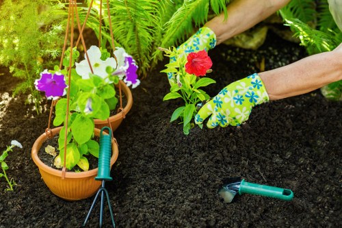 A close-up view of a gardening scene showing a person's hands wearing floral-patterned gardening gloves, planting a red and green flowering plant into dark, rich soil within a garden bed. To the left, there are two hanging terracotta pots filled with vibrant purple and white petunias, supported by wooden or metal plant hangers. A small hand rake with a green handle rests on the soil nearby, indicating ongoing garden maintenance. In the background, lush green foliage and ferns provide a natural backdrop, suggesting a well-cared-for garden space typical of outdoor landscaping in Bethnal Green. The scene is lit with natural daylight, enhancing the natural tones of the soil, plants, and surrounding greenery, reflecting the detailed work seen in professional gardening and landscaping activities by Landscapers Bethnal Green.