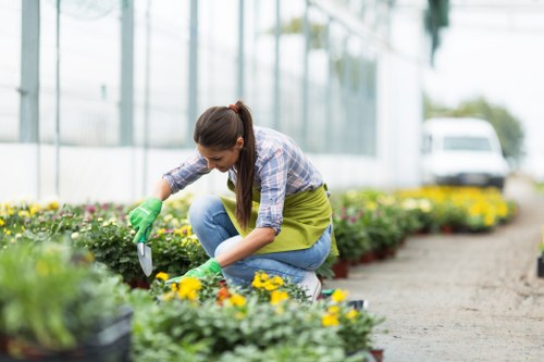 A woman working in a garden, crouched down among flower beds with yellow and purple flowering plants, wearing a casual plaid shirt, bright green gardening gloves, and jeans. She is tending to the plants using a small hand trowel, with a neatly maintained lawn and paved pathway visible in the background. The garden appears to be part of a landscaped outdoor space, featuring a variety of well-organised flower beds bordered by a compacted soil edge. Behind her, there is a modern glass structure and a parked vehicle, suggesting a residential or community setting in Bethnal Green. The environment is bright with natural daylight, indicating a clear weather day suitable for outdoor gardening and maintenance activities. This scene demonstrates typical elements of garden care carried out by local landscapers such as Landscapers Bethnal Green, emphasizing the importance of garden tidiness, planting, and overall outdoor aesthetic enhancement.