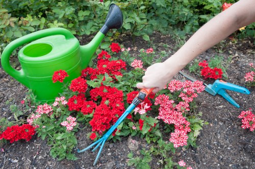The image shows a close-up view of a garden bed in a residential outdoor space, featuring a variety of vibrant red and pink flowering plants with dark green foliage. A person's hand, holding a small gardening fork, is tending to the soil around the plants. To the left, a bright green plastic watering can with a large handle and spout is placed on the soil, indicating ongoing garden maintenance. The background reveals lush, dense green hedge foliage and a grassy lawn area, typical of a well-kept UK backyard. The scene is lit with natural daylight, suggesting fair weather conditions suitable for gardening tasks. The environment appears neat and organized, reflecting regular garden care, which could be supported by professional gardening and landscaping services like those offered by Landscapers Bethnal Green in the Bethnal Green area, within the E2 postcode district. Overall, the image highlights a cultivated garden space with flower borders and tools used for outdoor plant care, demonstrating a healthy and actively maintained outdoor environment.