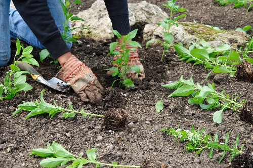 Customized garden design plan