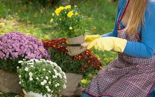 A gardener wearing yellow gloves and a blue long-sleeved top is tending to a small flower bed in a garden, located in Bethnal Green. The garden features a variety of flowering plants, including clusters of yellow, purple, and white blooms, arranged in fabric-lined planters. The background shows lush green grass and a hedge, indicating a well-maintained outdoor space typical of urban gardens in Bethnal Green. The soil around the plants appears freshly turned, and the scene is illuminated by natural daylight, suggesting a clear day. The garden layout includes a combination of potted flowers and ground planting areas, with a focus on vibrant seasonal colour. The image subtly reflects professional gardening and planting services offered by Landscapers Bethnal Green, demonstrating careful plant care and garden layout design, suitable for their local clients seeking outdoor maintenance and landscaping solutions in the Bethnal Green postcode area.