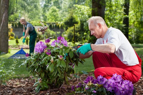 Sustainable landscaping practices in Bethnal Green