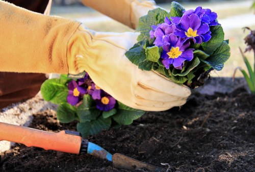 Eco-friendly lawn care practices