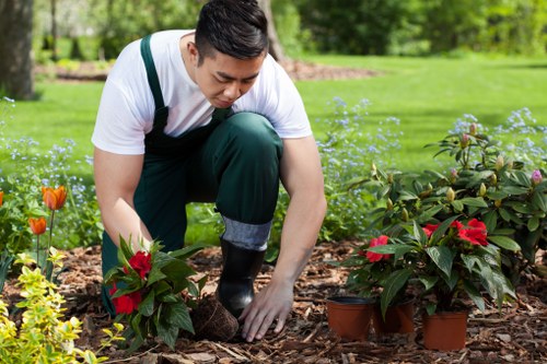 A young man tending to a flower bed in a well-maintained garden in Bethnal Green, London, with vibrant red and green foliage plants arranged along the border of a landscaped yard. The garden features a neatly mown lawn, mature trees in the background providing shade, and a gravel or mulch pathway near the flower bed. The scene is outdoors on a clear day, showing natural light illuminating the garden, which showcases elements typical of professional gardening services in East London, such as planting, soil preparation, and flower bed design by Landscapers Bethnal Green. The garden environment appears tidy and cared for, with healthy plants and a clean, organized outdoor space suitable for leisure or outdoor activities.