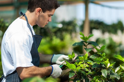 A young male gardener wearing a white T-shirt, striped apron, and white gloves is working in a lush green outdoor garden, tending to a small leafy shrub or plant with vibrant green leaves. The garden environment includes a well-maintained lawn with dense, healthy grass in the foreground, and a backdrop of various trees and shrubs, suggesting a private residential backyard in Bethnal Green. The scene is illuminated by natural daylight, with a slightly overcast sky creating soft, even lighting. The gardener appears focused on pruning or inspecting the plant, with the background out of focus but showing additional greenery and possibly garden structures or fencing. The environment reflects a typical landscaped outdoor space suitable for routine maintenance, lawn care, and plant upkeep, consistent with local gardening services provided by Landscapers Bethnal Green.