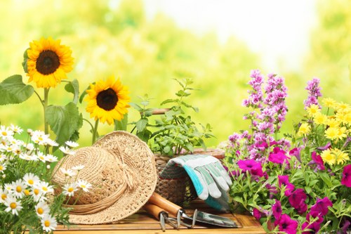 A vibrant garden scene with a variety of flowering plants and garden tools arranged on a wooden surface. Sunflowers with large yellow petals and dark centers stand prominently, accompanied by clusters of white daisies with yellow centers and tall purple and pink flowering plants. The background features a soft-focus, lush greenery indicating a well-maintained outdoor space. In the foreground, there are gardening gloves, a straw sun hat, pruning shears, and other small gardening tools, suggesting ongoing gardening activities. The overall setting is bright and sunlit, reflecting a typical landscaped garden area that could benefit from professional lawn care and planting services provided by Landscapers Bethnal Green, in the Bethnal Green area of London, aligning with local gardening and outdoor maintenance needs.