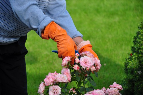 A person wearing a grey sweater and bright orange gardening gloves is seen tending to a garden flower bed with pink roses. The individual appears to be planting, pruning, or inspecting the roses, which are vibrant and healthy with full blooms. The flower bed is bordered by a well-maintained lawn with dense, green grass. In the background, a neatly trimmed hedge and some small shrubs are visible, adding structure and lush greenery to the outdoor space. The lighting suggests a bright, clear day, ideal for gardening activities typical of outdoor maintenance services in Bethnal Green. The scene reflects careful garden care and floral cultivation, aligning with professional gardening and landscaping services offered by companies like Landscapers Bethnal Green, who specialise in flower bed creation and garden beautification within the local area.