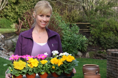 A woman with blonde hair styled in a side-swept manner, wearing a purple jacket over a white top, is standing in a well-maintained garden. She is holding a tray of vibrant flowering plants with yellow, pink, and white blossoms, likely primroses or pansies, arranged in small terracotta pots. The garden background features lush greenery, including neatly trimmed bushes, a variety of shrubs, and a lawn area with dense grass that appears healthy and evenly cut. Behind her, there are stone steps leading up to an elevated area, with ornamental plants and trees providing natural shade and contrast with their green foliage. The weather appears mild and sunny, with bright lighting illuminating the scene, complementing the natural tones of the garden. Two empty terracotta plant pots are positioned nearby on a rectangular brick or stone surface, suggesting ongoing gardening or plant arrangements. This image highlights outdoor gardening work in a private garden, aligned with professional landscaping and gardening services offered by Landscapers Bethnal Green, especially relevant to residential outdoor space improvements in the Bethnal Green area.
