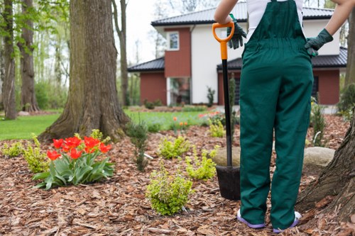 Lush green lawn and vibrant plants maintained by Landscapers Bethnal Green