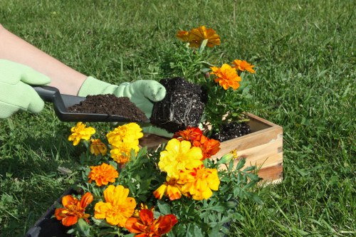A gardener wearing light green gloves is using a small hand trowel to plant a flower into a wooden garden bed filled with dark soil. The garden bed contains vibrant orange and yellow flowers, likely marigolds, arranged along its edges. The area surrounding the garden bed features a well-maintained grassy lawn with lush, green turf. In the background, a larger plant with orange flowers can be seen, contributing to the colourful garden scene. The outdoor environment appears sunny, with natural light illuminating the plants and the freshly planted flower. This scene is representative of typical gardening work carried out by landscaping professionals, such as those at Landscapers Bethnal Green, with a focus on planting and garden enhancement within a neat, landscaped outdoor space in Bethnal Green or nearby areas within the E2 postcode district.
