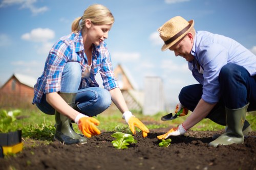 A woman and a man are planting a small green seedling in a freshly turned garden bed, with rich dark soil between them. The woman, wearing a blue plaid shirt, jeans, and yellow gloves, is kneeling on the grass and carefully handling the plant. The man, dressed in a light blue shirt, dark trousers, and a straw hat, is crouched down assisting with the planting. The garden features a well-maintained lawn in the foreground, with the soil area used for planting clearly defined. In the background, there are suburban residential buildings, a wooden fence, and a bright blue sky with some white clouds. The scene suggests outdoor gardening activity on a sunny day, typical of gardening and landscaping work undertaken by companies such as Landscapers Bethnal Green, serving the local area including Tower Hamlets. This image highlights the process of planting and outdoor preparation typical of garden maintenance, landscaping, and lawn care services at a residential property in Bethnal Green or nearby in London.