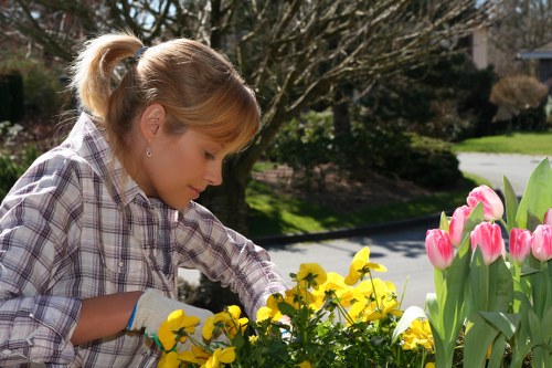 A woman with light brown hair tied back in a ponytail is tending to a garden in a residential outdoor space, which features a variety of flowering plants and shrubs. She is wearing a plaid shirt and gardening gloves, carefully tending to bright yellow and pink tulip flowers. The garden area includes a well-maintained lawn with lush green grass, bordered by flower beds with colorful blooms and shaded by a large tree with budding branches. In the background, a quiet street with a paved road and additional greenery can be seen, suggesting a peaceful suburban environment typical of Bethnal Green. The scene is lit by natural daylight, indicating a clear and mild weather day, ideal for outdoor gardening activities. This image illustrates elements relevant to gardening services offered by Landscapers Bethnal Green, such as flower planting, garden maintenance, and landscape enhancement, highlighting the care and attention given to outdoor spaces in the local area. The scene demonstrates a well-kept garden in early spring, with vibrant plant life and a serene residential environment, appropriate for a webpage focused on patio repair and garden improvement insights.