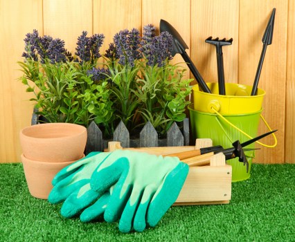 In a well-maintained garden scene, there is a foreground of artificial green grass, creating a neat outdoor environment. Arranged neatly along the back, several potted lavender plants with purple flower spikes are positioned in front of a warm-toned wooden fence, adding natural colour and texture. To the right, a bright yellow plastic bucket contains various gardening tools such as a trowel, hand fork, and cultivator, all with black handles. In front of the bucket, a pair of aqua-green gardening gloves rest on a light-colored wooden tray or storage box, which is used for organizing tools and supplies. Behind the gloves, a small black garden sprinkler is visible, connected by a hose to the watering system. The tools and accessories suggest active garden maintenance, suitable for a residential outdoor space in Bethnal Green. The overall scene reflects a prepared, functional gardening setup focused on tasks like planting, pruning, and watering, with natural lighting indicating a clear, mild day. This composition aligns with professional gardening services aimed at sustainable lawn and garden care, supporting local landscaping efforts and eco-friendly practices in urban gardens across the Bethnal Green area.