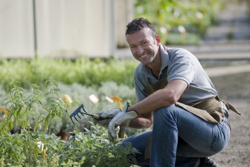 A man with dark, curly hair and a wide smile is working in a garden, kneeling on a gravel pathway among the green foliage of vegetable plants. He is dressed in a grey polo shirt and jeans, wearing gardening gloves, and appears to be tending to the plants with a small hand tool in his right hand. The garden features a well-maintained lawn in the foreground, bordered by a wooden fence in the background. Sunlight filters through the trees, casting a natural light over the scene, and the environment suggests a peaceful outdoor space in Bethnal Green, ideal for gardening and outdoor maintenance services provided by Landscapers Bethnal Green.